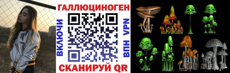 Купить  Тарко-Сале  Галлюциногенные грибы Psilocybine cubensis 